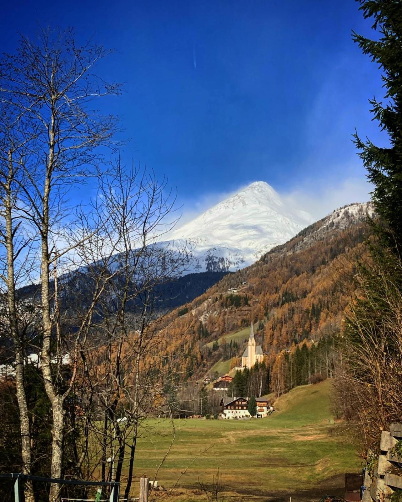 Traumtaube *