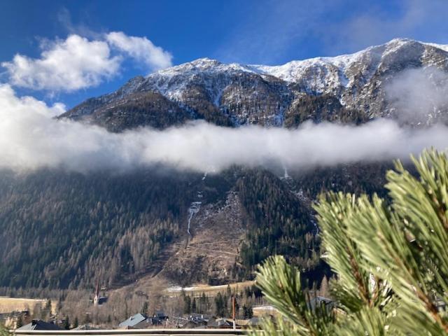 Traumtaube Heiligenblut am Großglockner