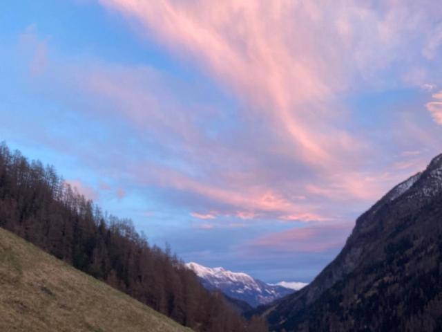 Traumtaube Heiligenblut am Großglockner
